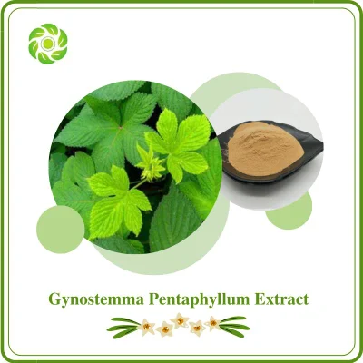 Wwbb 식물 추출물 공급업체, Gypenoside 10%, 50%, 80%, 98%, ISO 및 FDA 및 할랄 인증, Gynostemma Pentaphyllum(Thunb) Makino, Gynostemma Pentaphyllum Extract